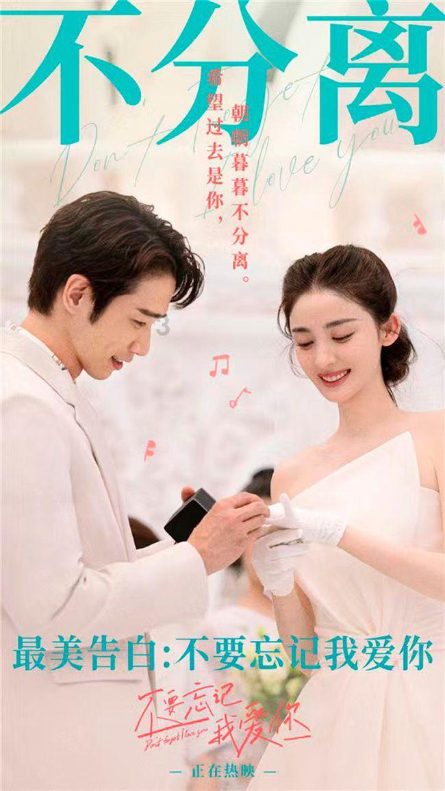 奥日与黑暗森林